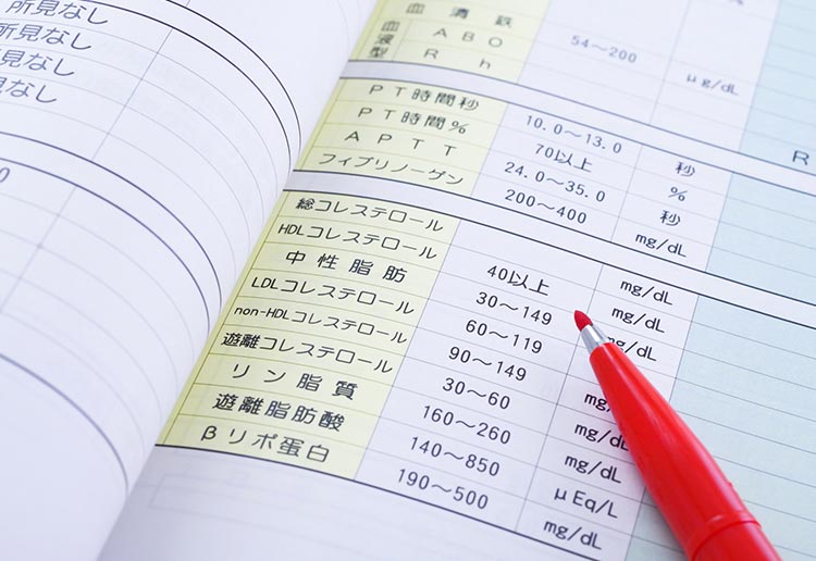 脂質異常症イメージ